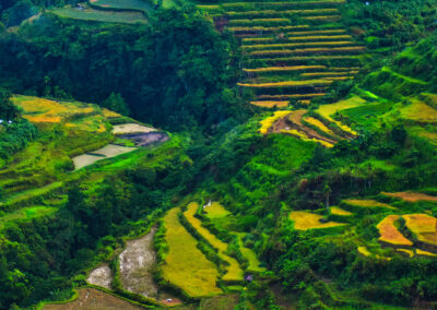 photo of Banaue Rice Terraces 2019