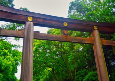 Gate at Meiji Temple, Tokyo, Japan, 2019 - NIKON D7200